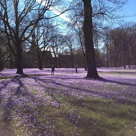 Tholenhof 아파트